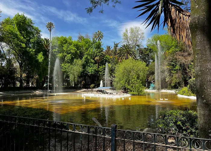 Discover Condesa Ideal Location Guest house