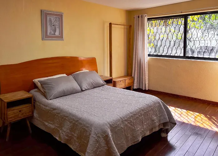 Discover Condesa Ideal Location Guest house Mexico City