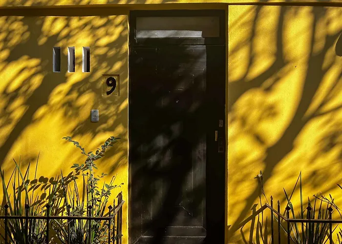Guest house Discover Condesa Ideal Location *