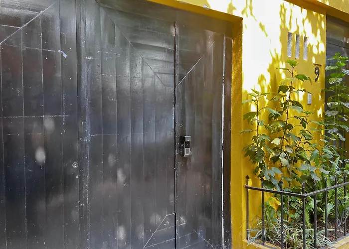 Discover Condesa Ideal Location Mexico City