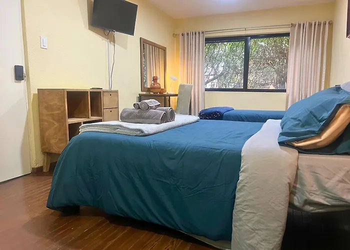 Guest house Discover Condesa Ideal Location Mexico City