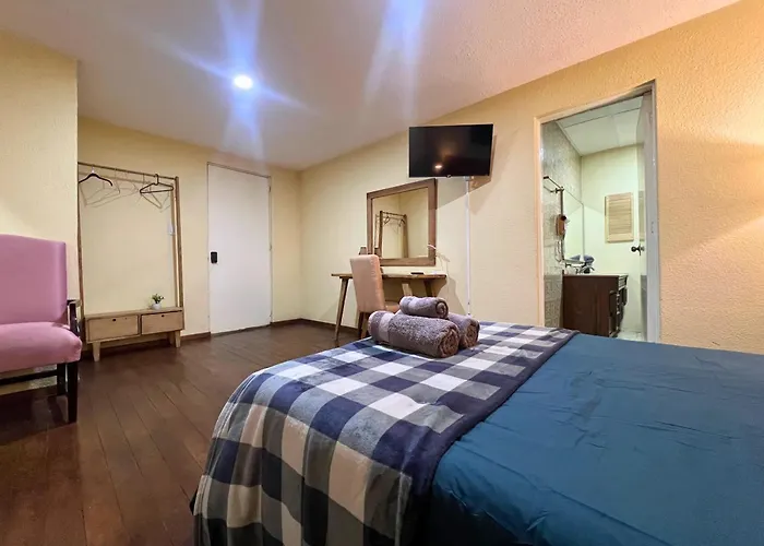 Discover Condesa Ideal Location Mexico City