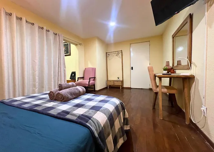 Discover Condesa Ideal Location Guest house