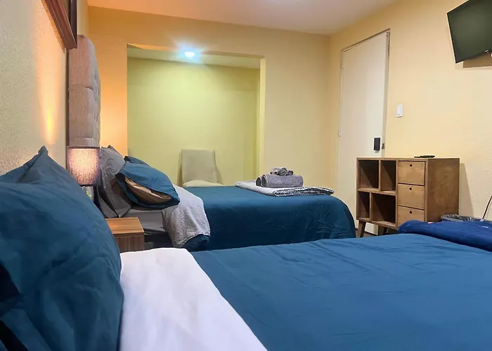 Discover Condesa Ideal Location Mexico City