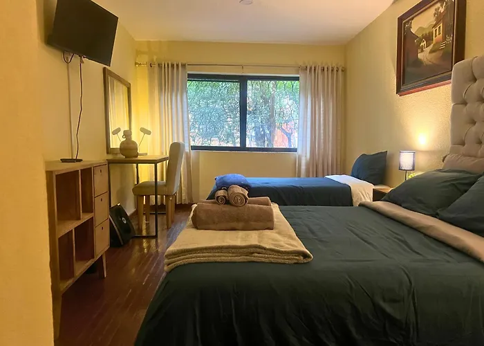 Discover Condesa Ideal Location Guest house