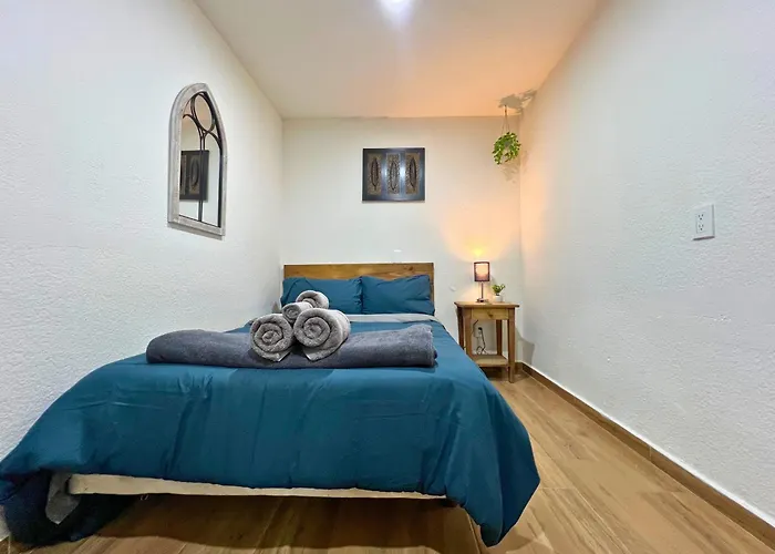 Guest house Discover Condesa Ideal Location Mexico City