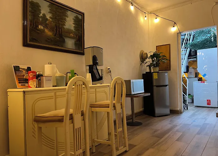Discover Condesa Ideal Location Guest house