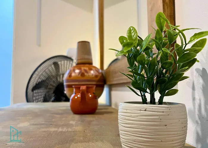 Discover Condesa Ideal Location Guest house *