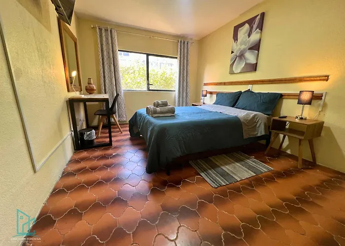 Discover Condesa Ideal Location Guest house Mexico City