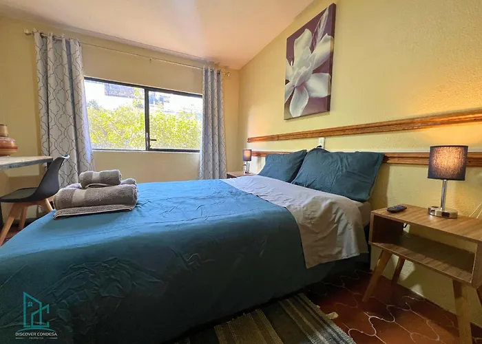 Discover Condesa Ideal Location *