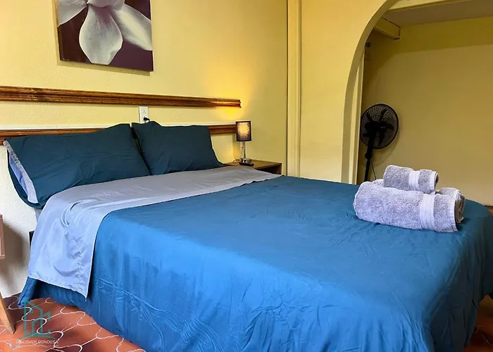 Discover Condesa Ideal Location